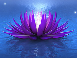 Discover the Gift site